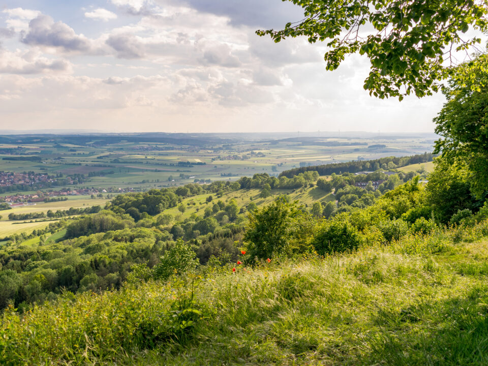 Rundflug über das Fränkische Weinland