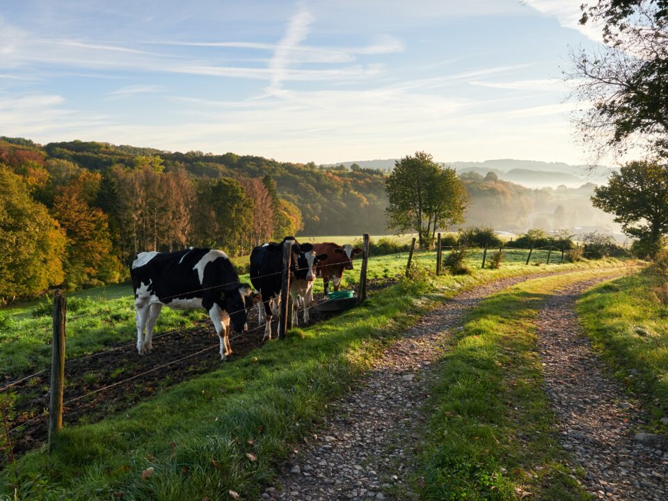 Rundflug über das Bergische Land