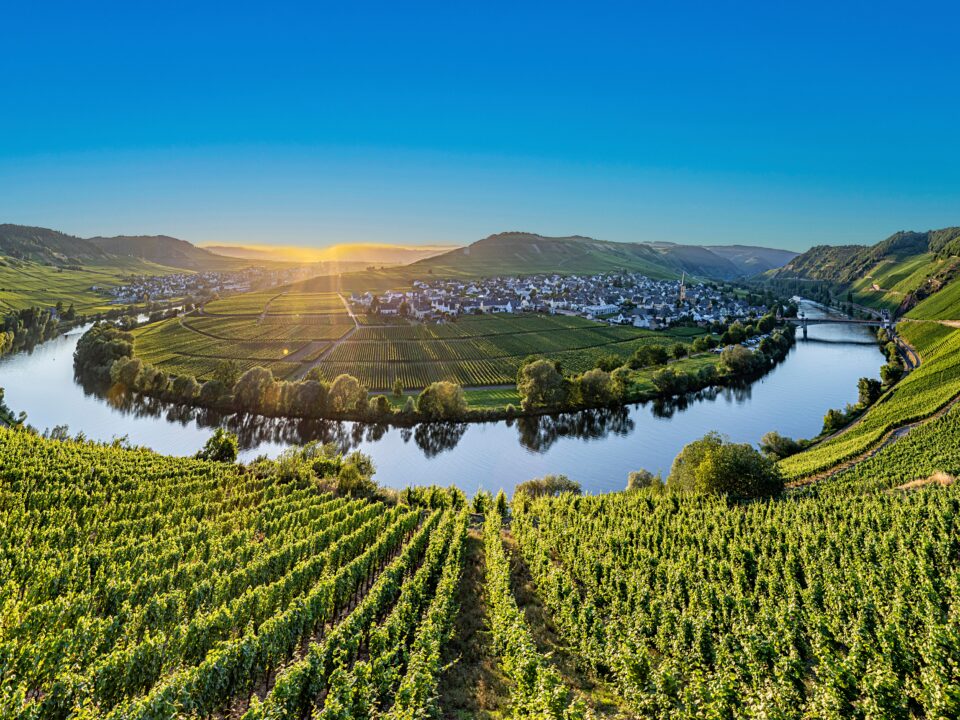 Mosel Rundflug